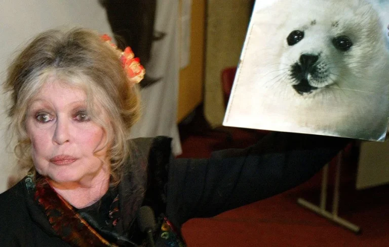 Mort de Brigitte Bardot: obsèques sous le signe du phoque