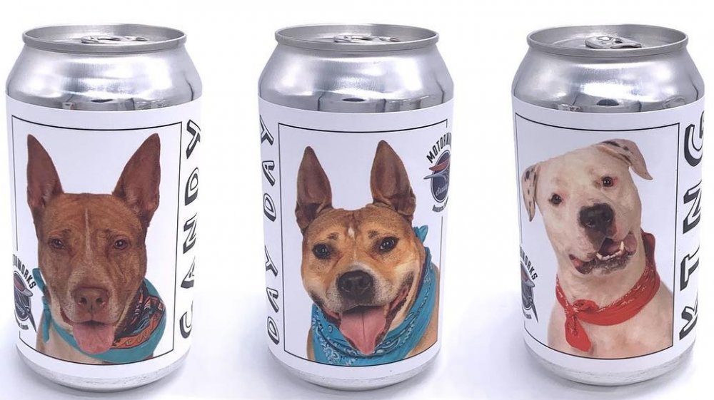 Chien disparu sur une canette de bière