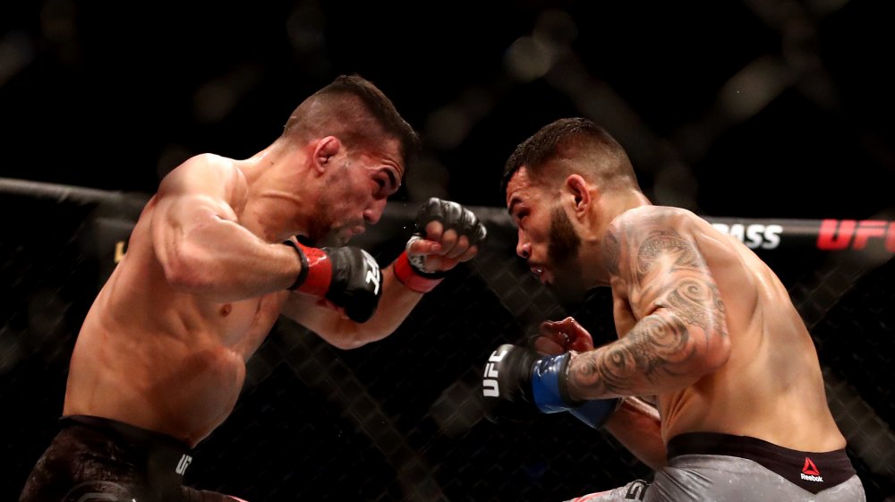 Ils se battent entre eux