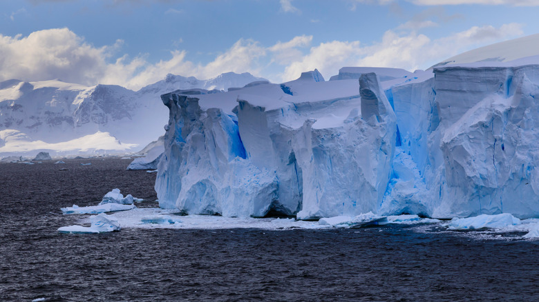 Falaise de glace en Antarctique