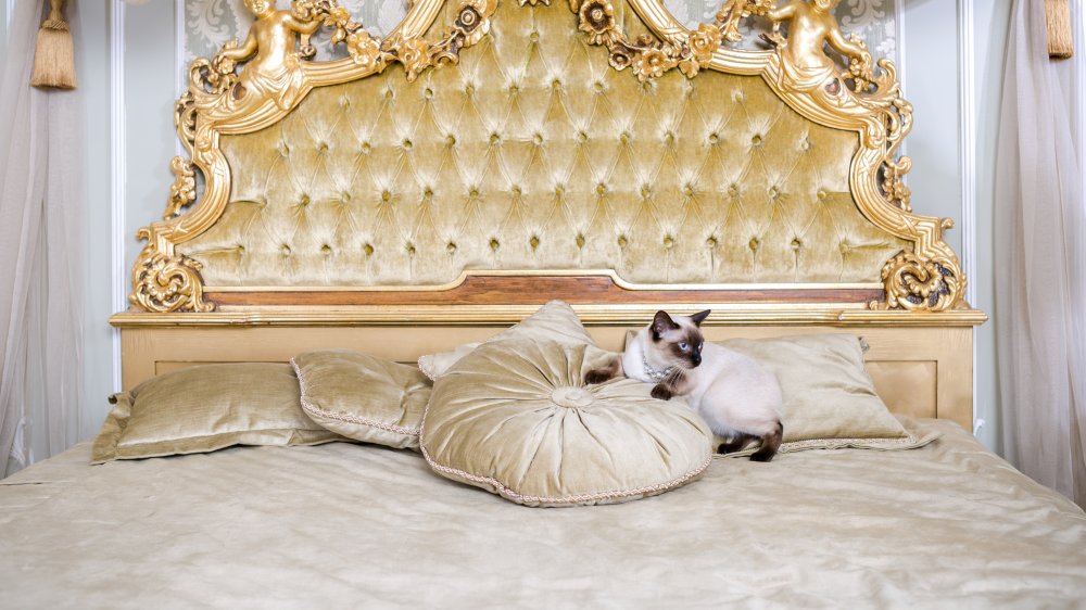 Palais de Versailles