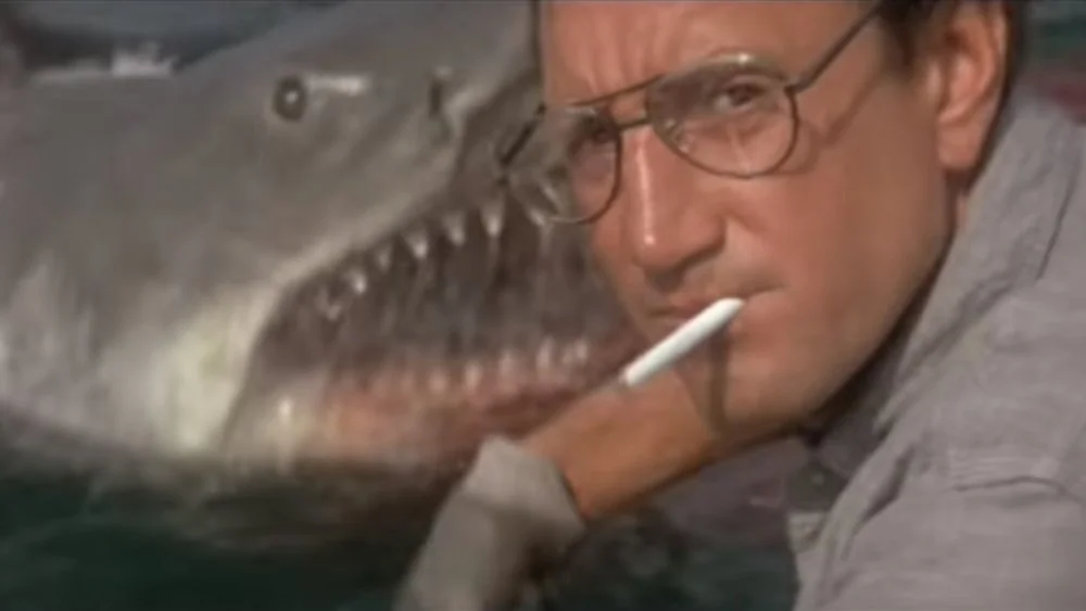 Découverte de requins marcheurs sur la côte australienne