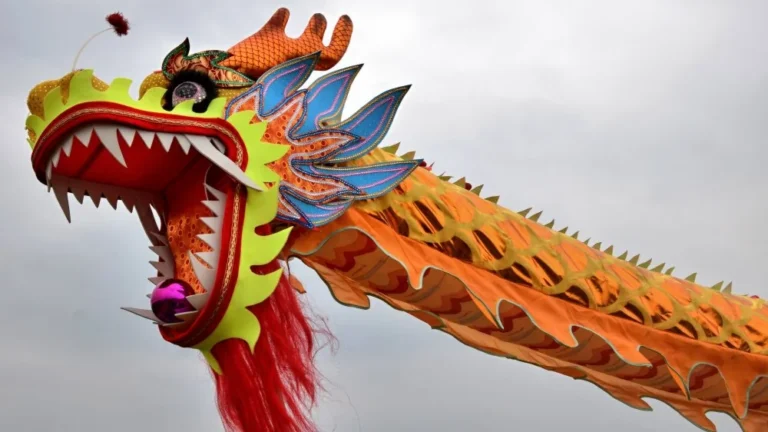 Découverte du dinosaure Wulong bohaiensis en Chine