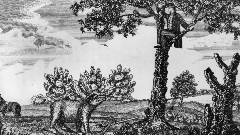 La Seule Victime de l&rsquo;Expédition Lewis et Clark