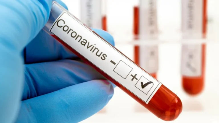 La pandémie de coronavirus pourrait-elle provoquer une seconde vague ?