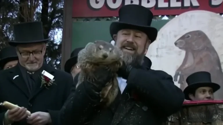 La véritable histoire du Jour de la Marmotte