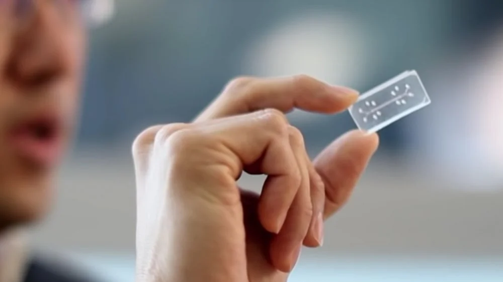 La vérité fascinante sur le mini-homme sur puce