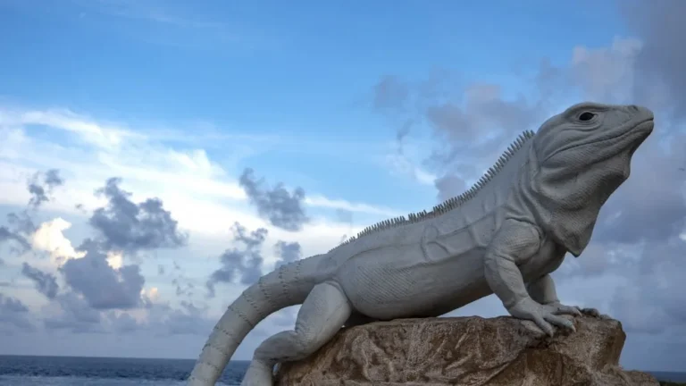 Les Iguanes Vont Pleuvoir en Floride : Étonnant Phénomène Météo