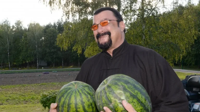 Steven Seagal et la CIA : Faits ou Fiction ?