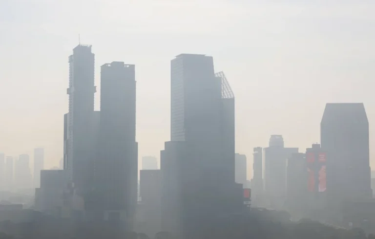 Climat : Pourquoi le méthane flambe malgré la baisse de la pollution ?