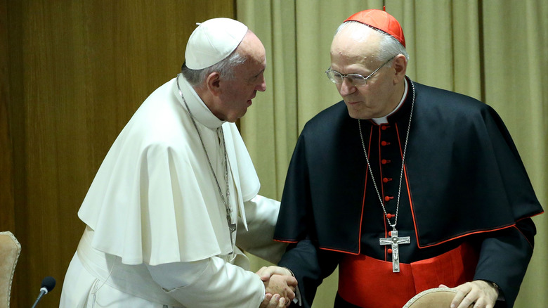 Le pape François serrant la main de Peter Erdö