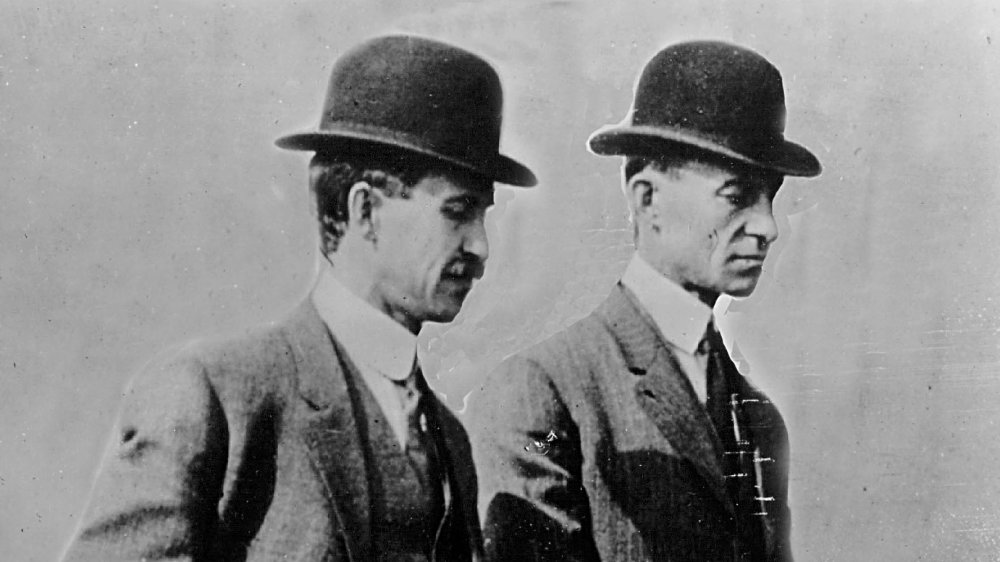 Les frères Wright et les oiseaux