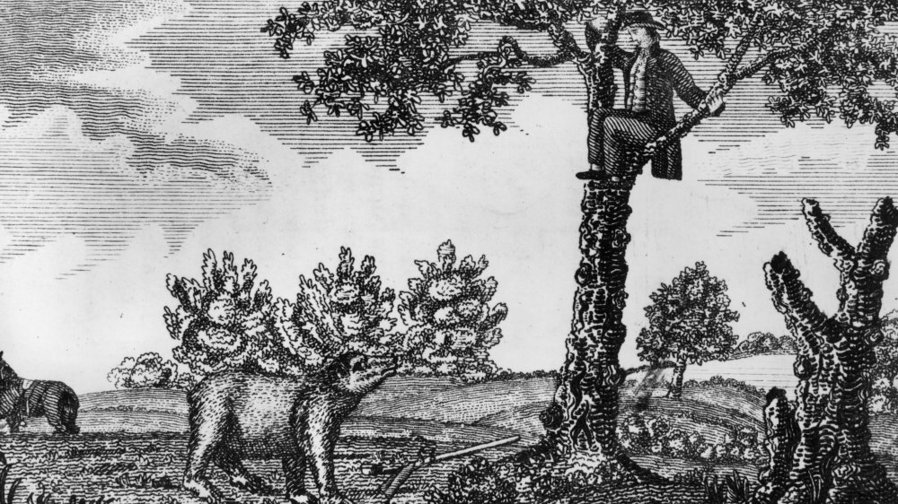 Gravure représentant un homme perché dans un arbre après avoir abattu un ours