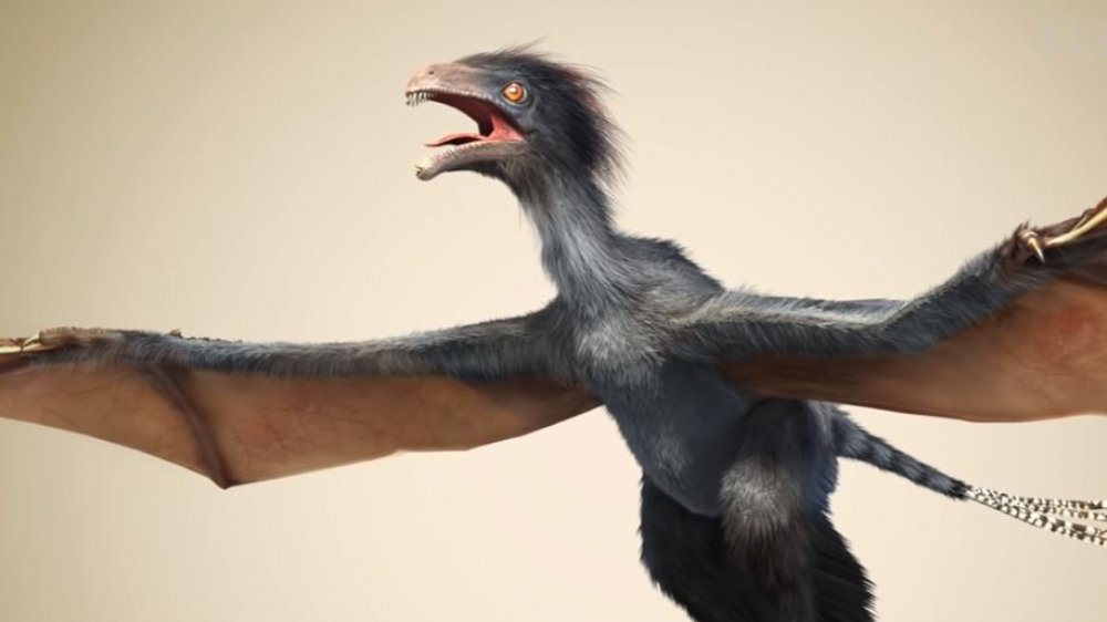 Restitution du Yi qi avec ses ailes