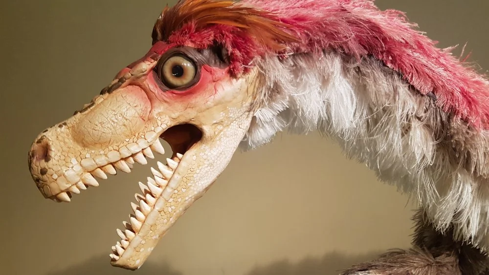 Découverte des Plumes Fossiles des Petits Dinos Polaires