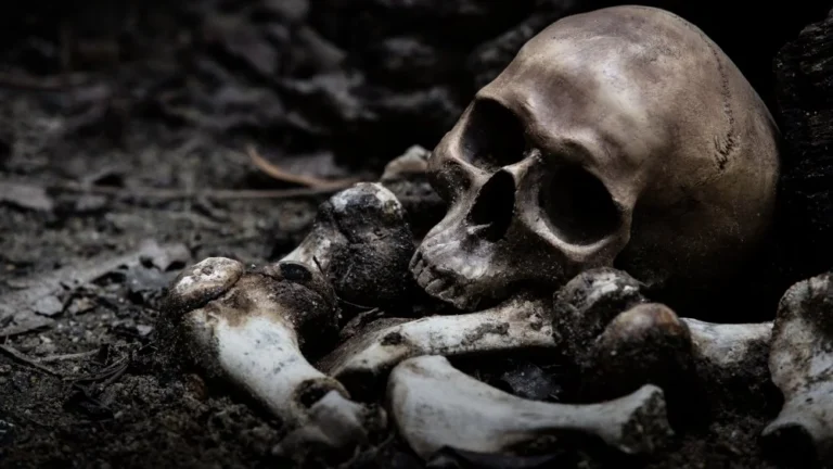 L&rsquo;identité du &lsquo;Vampire du Connecticut&rsquo; révélée par l&rsquo;ADN