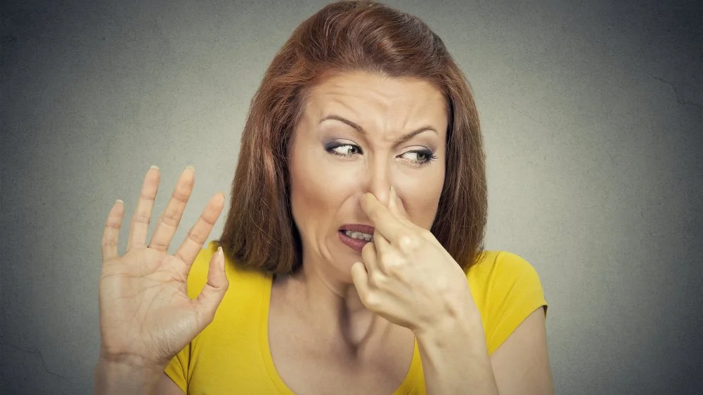 L'incident hilarant qui a causé 10 000 morts dans l'histoire