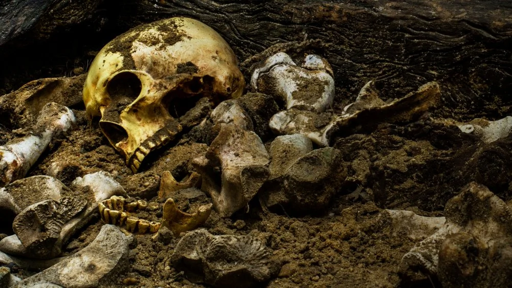 Le Meurtre Non Résolu le Plus Ancien du Monde