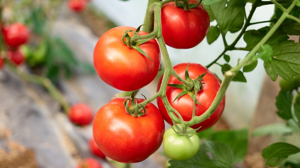 Feuille triste en stress