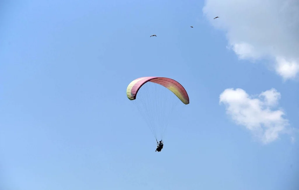 Drame à Tenerife : une Italienne se tue en parapente