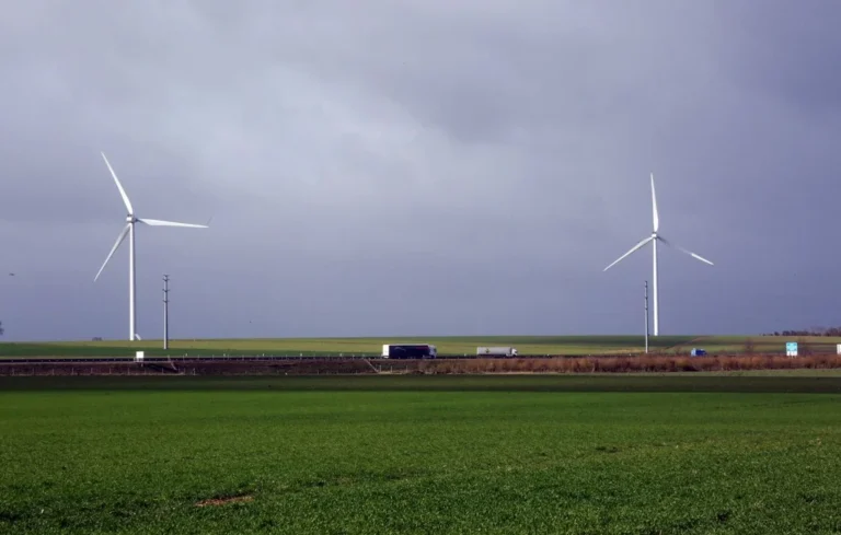 Éoliennes et bois d&rsquo;Amazonie : la vérité sur la fabrication des pales
