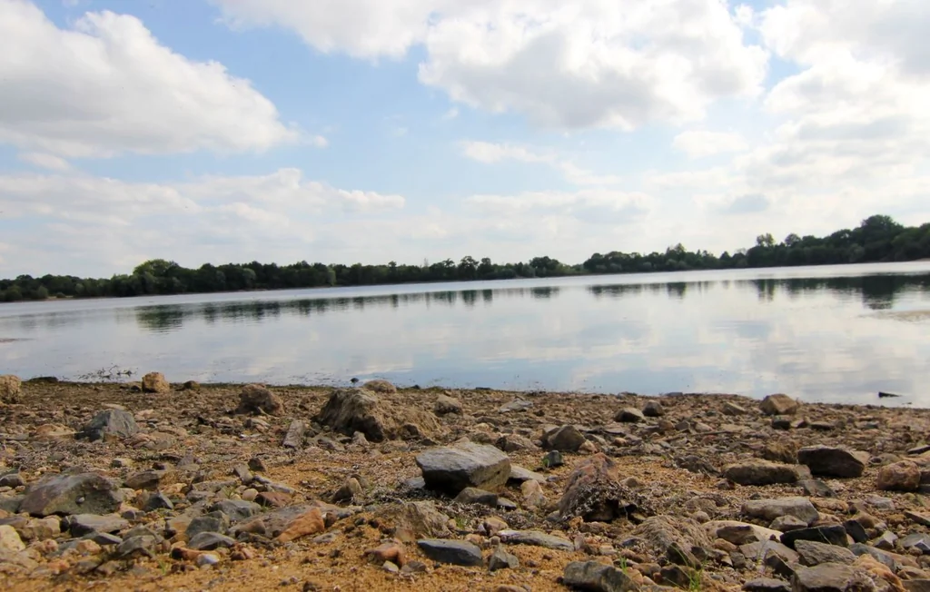 L'État recule face à la FNSEA sur les pesticides en Bretagne