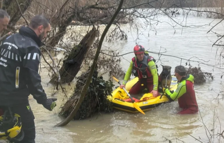 Haute-Garonne : Sauvetage périlleux d&rsquo;un chien coincé dans la Garonne