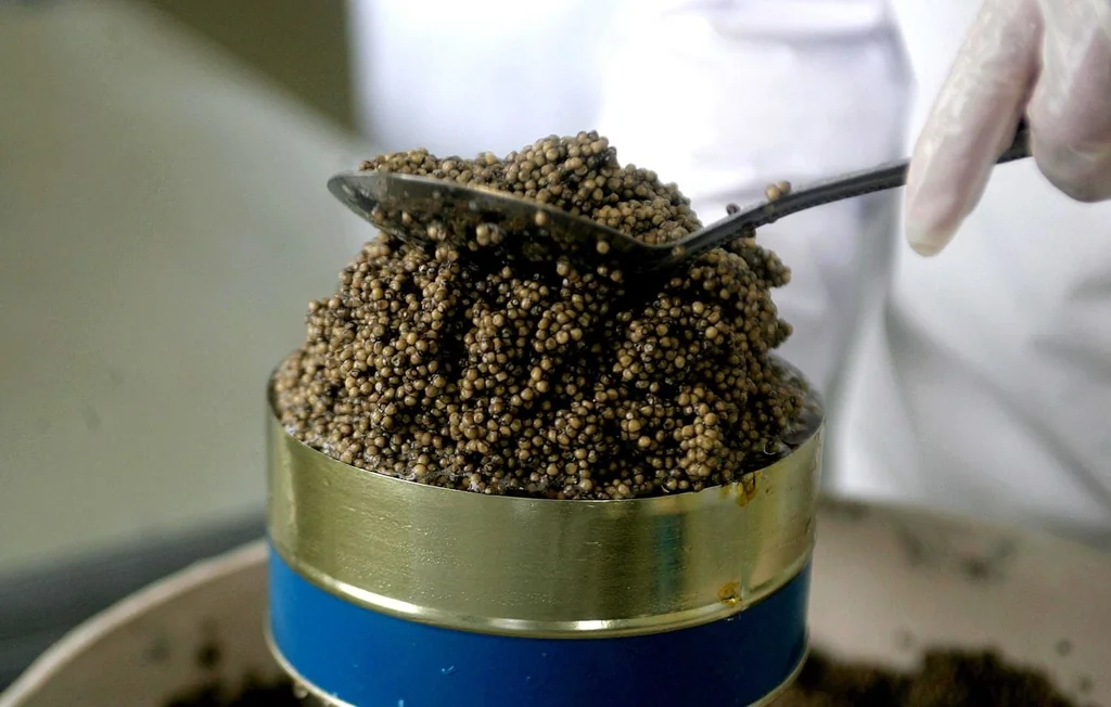 Indre : un vol de caviar et fruits de mer estimé à 2 000 euros résolu