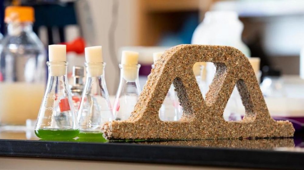 Échantillon de béton vivant composé de bactéries et de sable