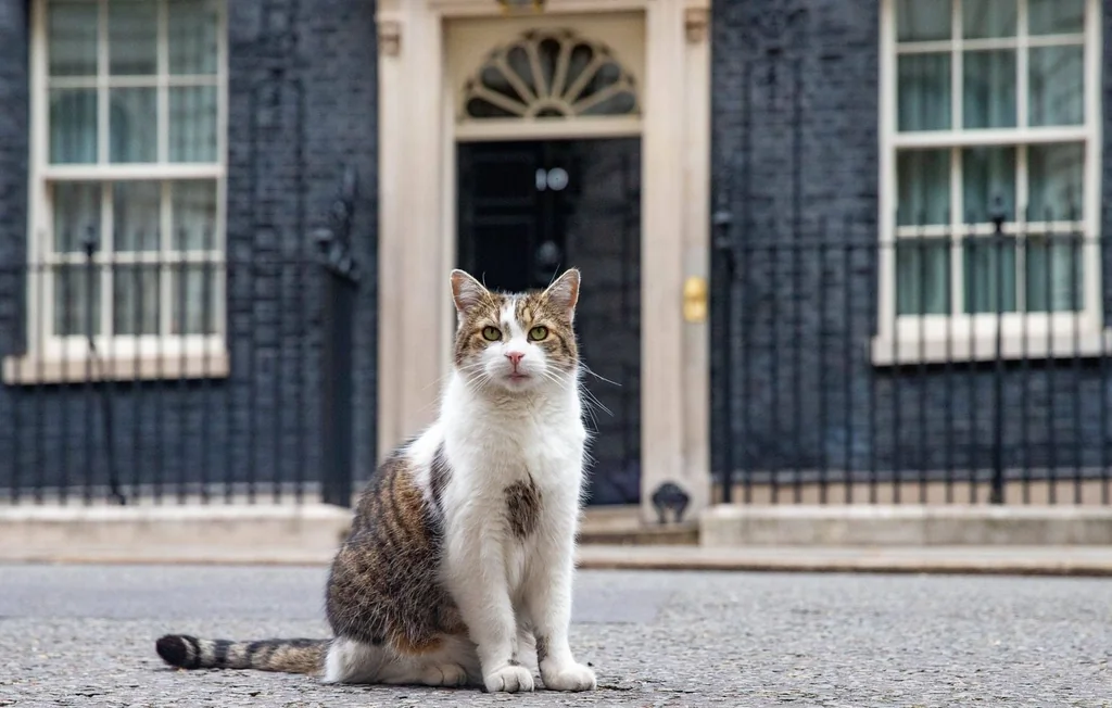 Larry le chat : 15 ans de règne et six Premiers ministres à Downing Street