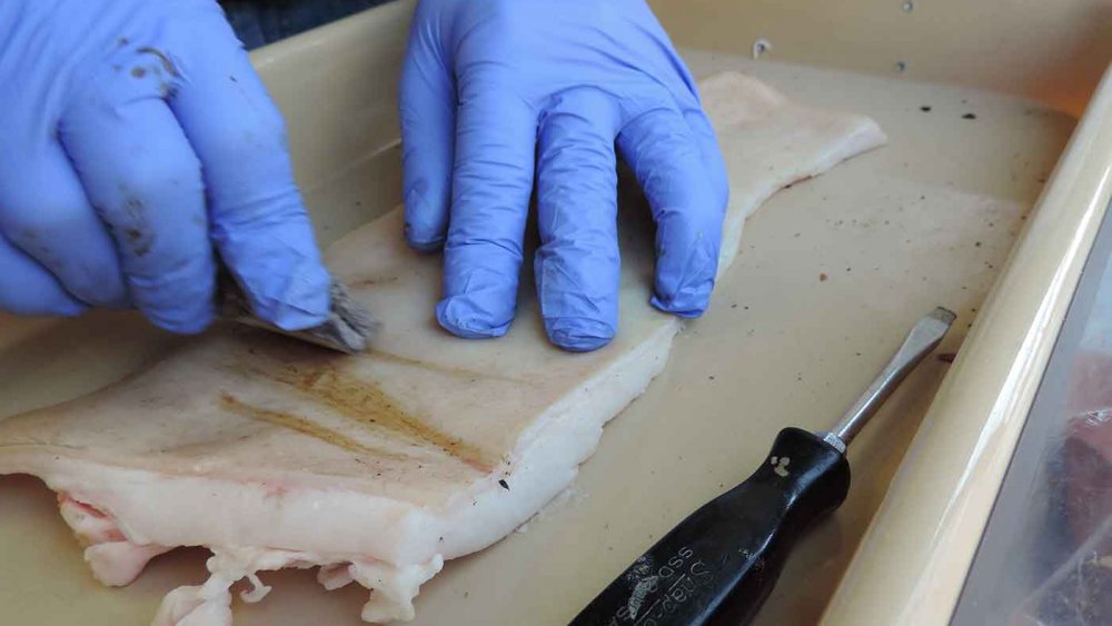 Test d'un couteau en fèces congelées — image