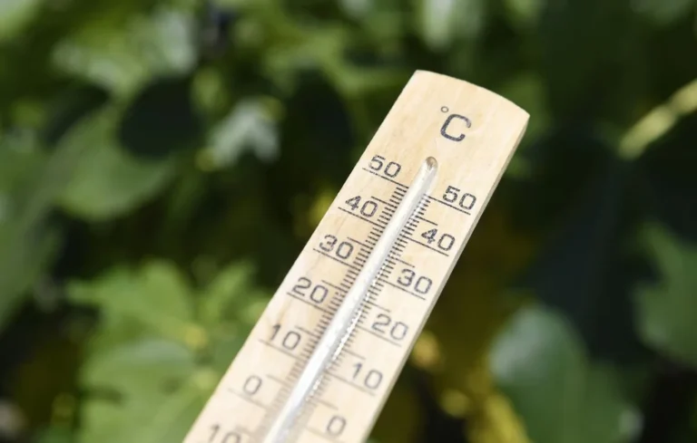 Météo : près de 30 °C dans le Sud-Ouest, un record en février