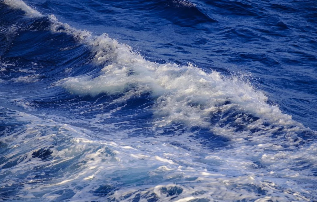 Péril en haute mer : un marin de l'émission décède à 25 ans