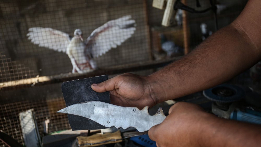 Gros plan sur des pigeons et un petit chapeau