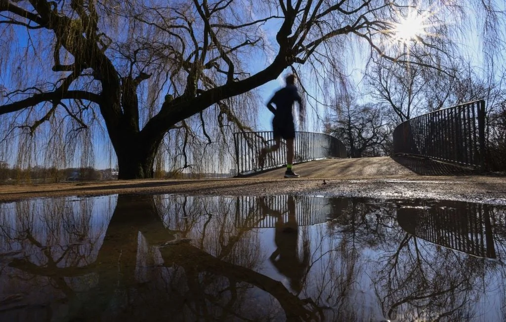 Records de chaleur en février : un phénomène climatique inquiétant ?