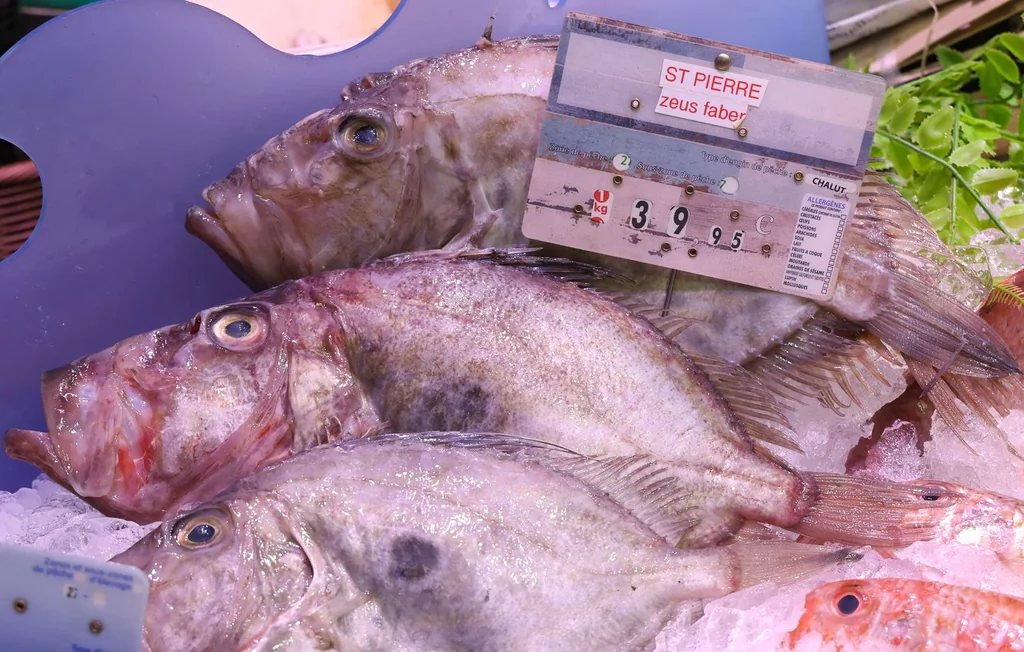 Surpêche et quotas en France : comment choisir un poisson durable ?