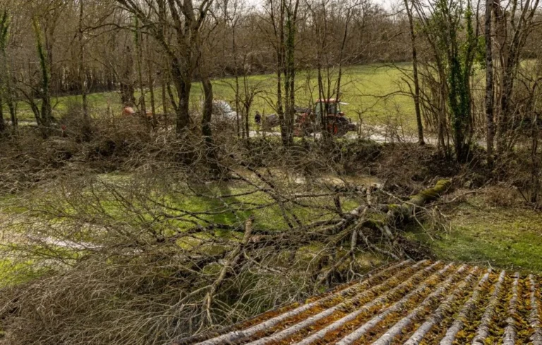 Tempête Nils : Décès d&rsquo;un technicien dans le Tarn-et-Garonne