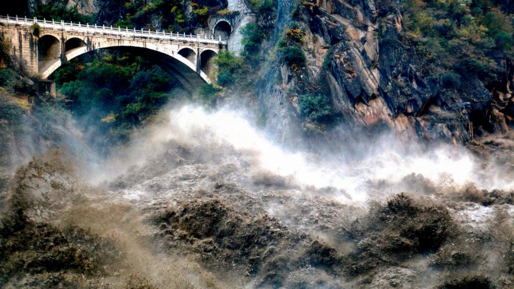 Yangtsé sans poisson-loup