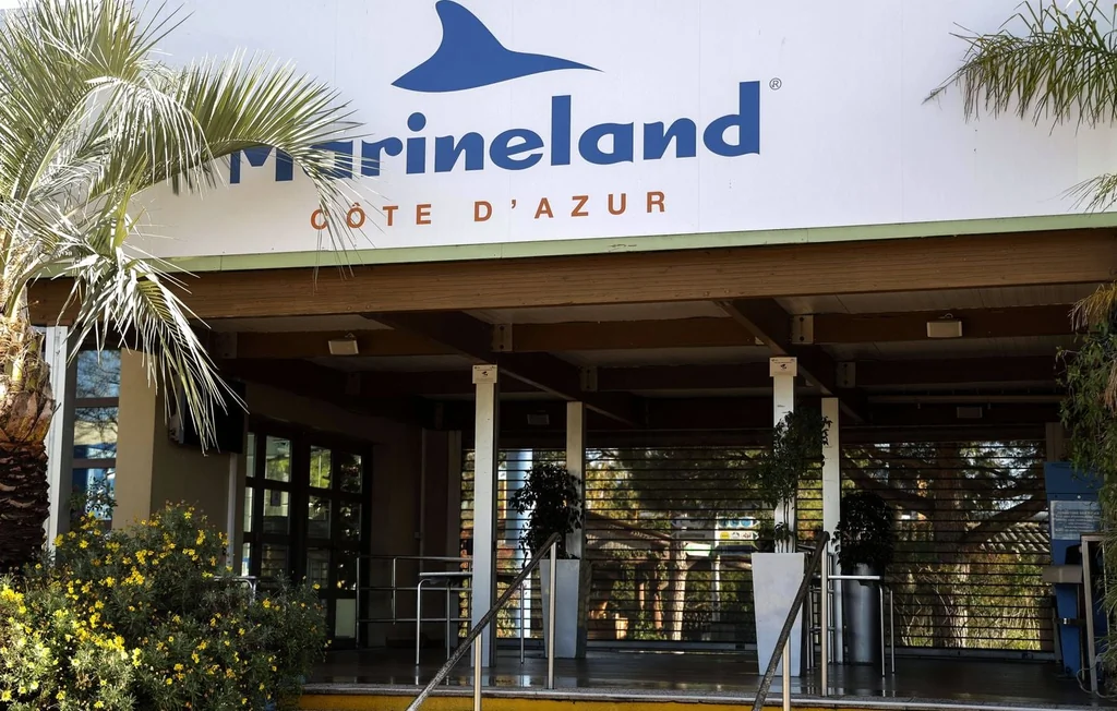 Zoo de Beauval : Accueil des dauphins confirmé pour 2027