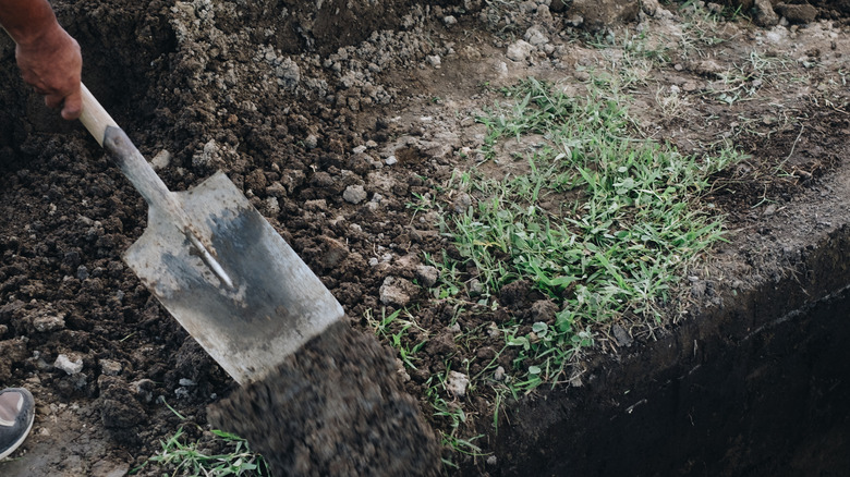 pelle et terre de sépulture