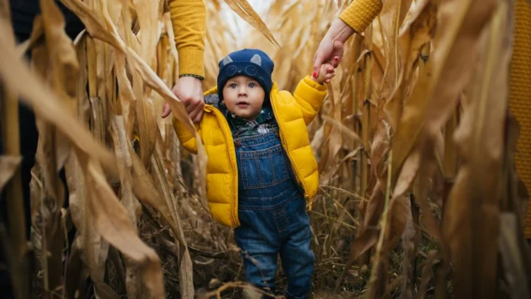Comment sortir facilement d&rsquo;un labyrinthe de maïs