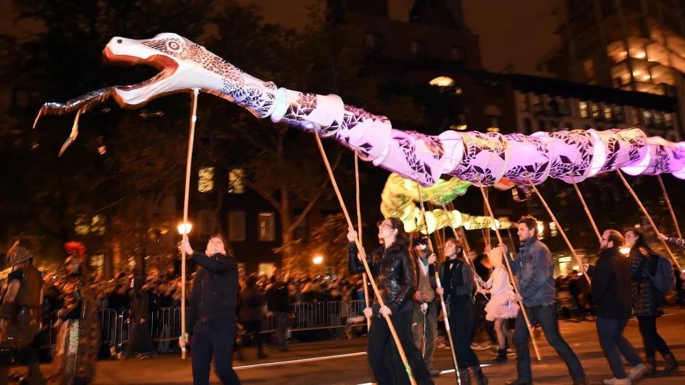 Découvrez le plus grand serpent du monde : l'anaconda vert