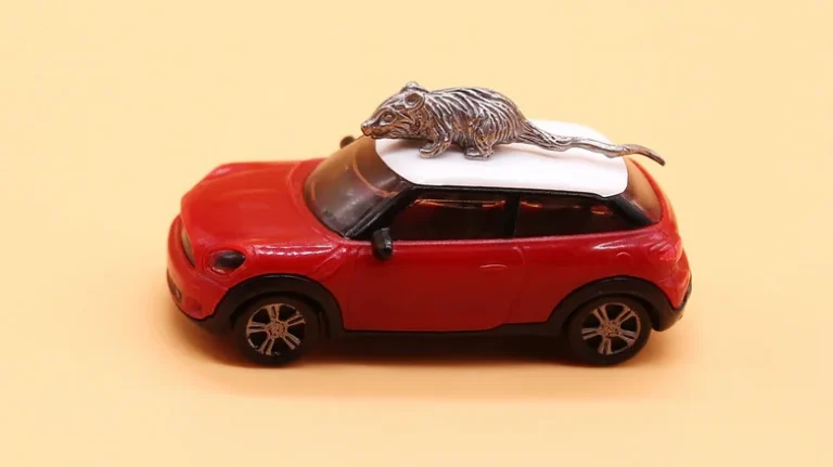 Des Rats Apprennent À Conduire Des Voitures Miniatures