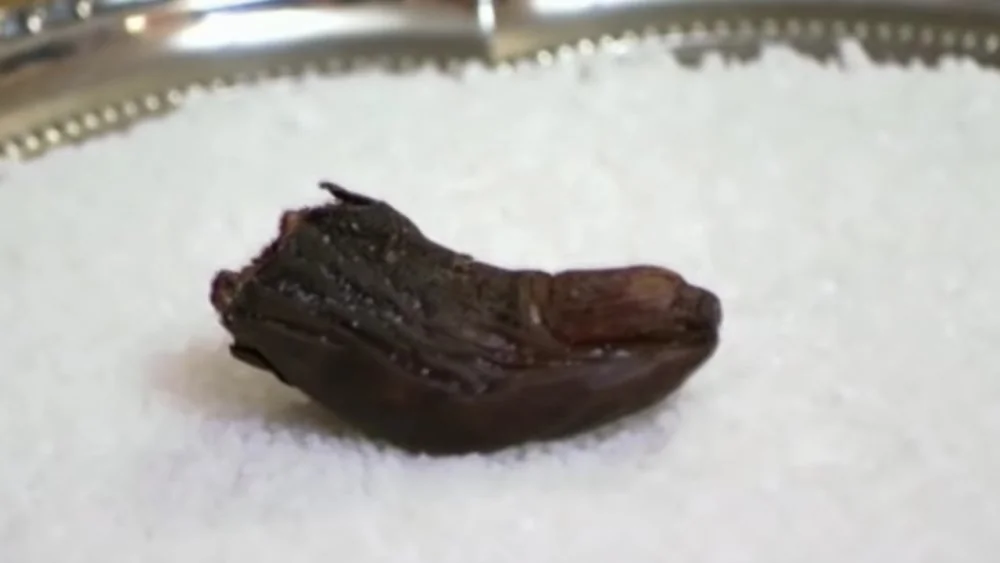 L'héritage insolite du barman canadien et son cocktail aux orteils