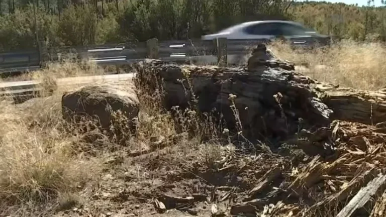 La Disparition Mystérieuse de Wizard Rock en Arizona