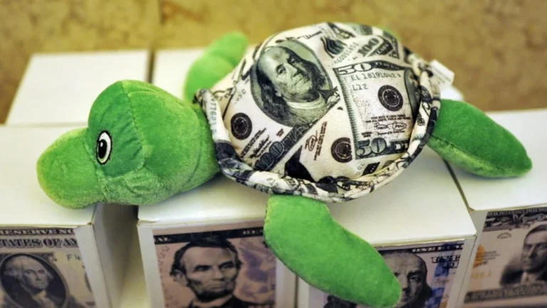 La Tortue la Plus Chère au Monde : Mystères et Valeur
