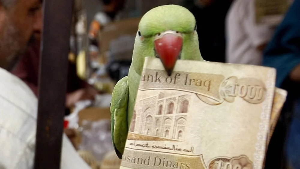 Le Pigeon à 1,4 Million de Dollars : L'Avion le Plus Cher