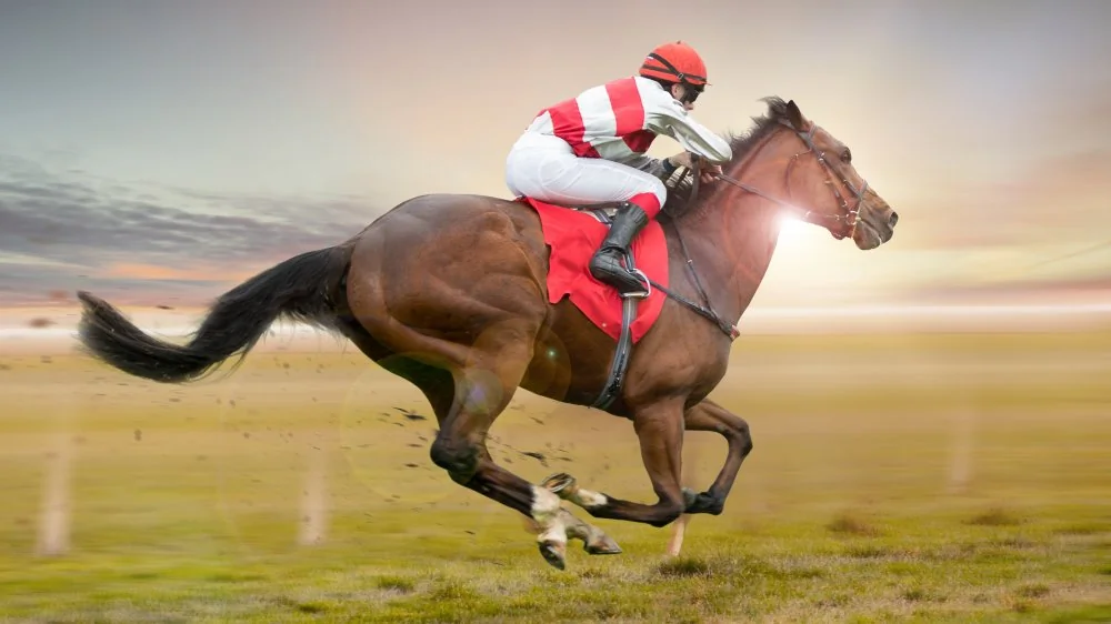 Les Chevaux de Course les Plus Rapides au Monde