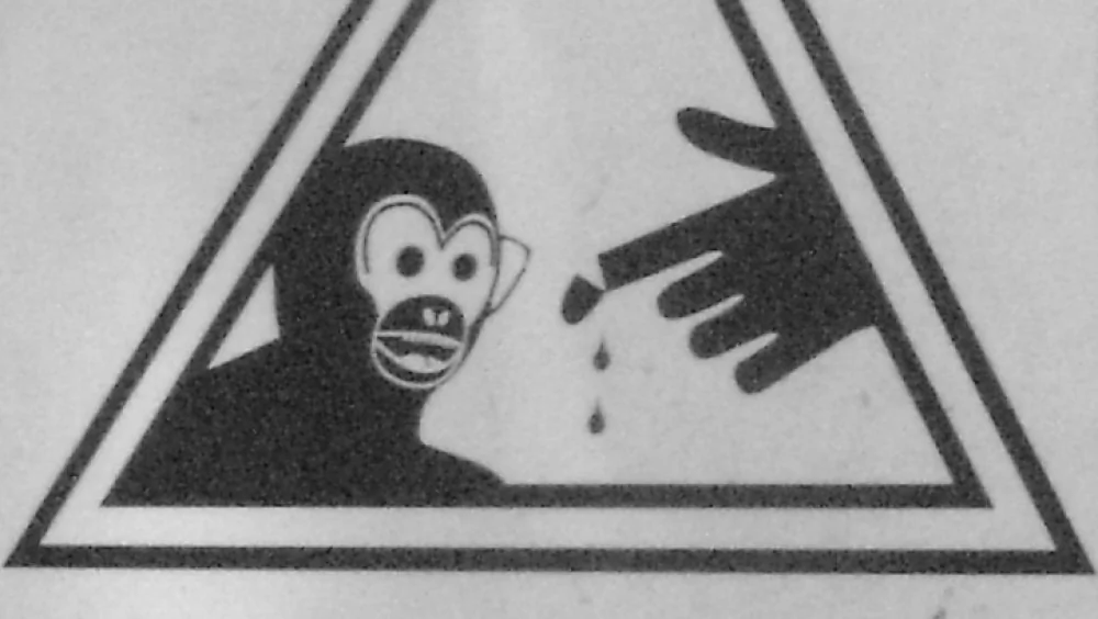 Les Singes les Plus Dangereux du Monde