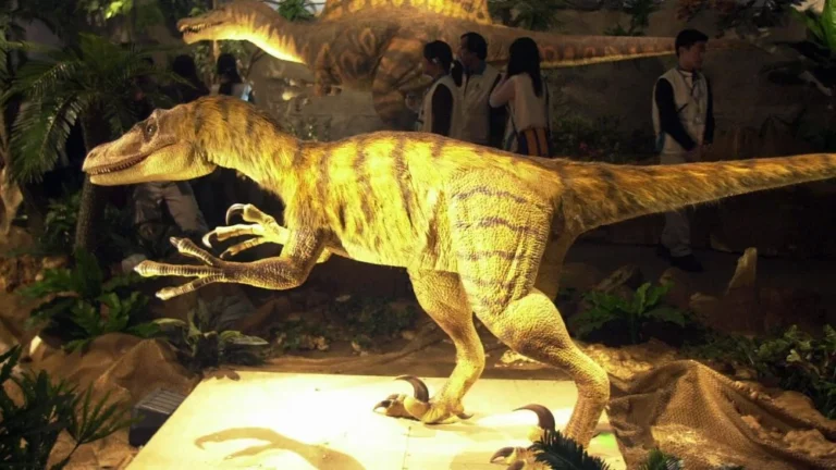 Les Velociraptors plus intelligents que les chiens ?